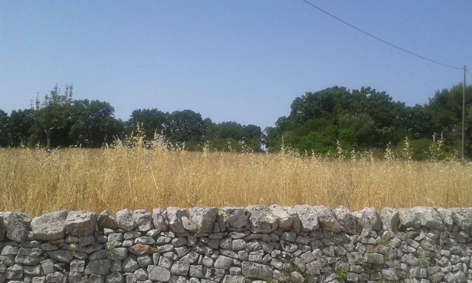 צ'יסטרנינו Trullo Le Tre Sorelle מראה חיצוני תמונה