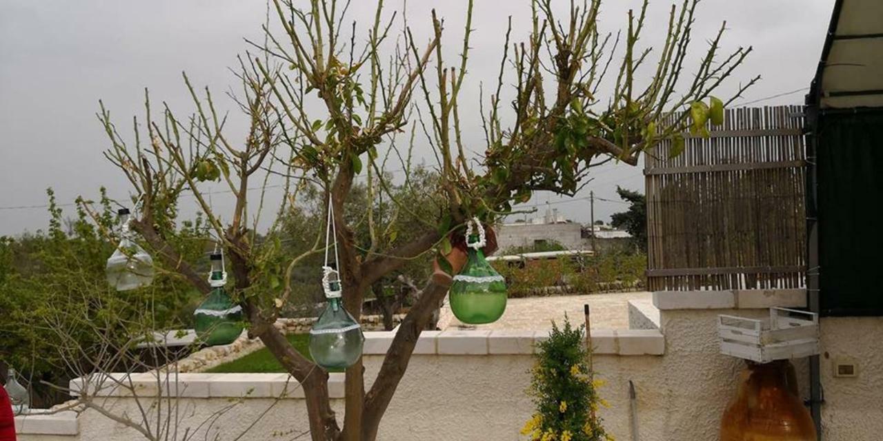 צ'יסטרנינו Trullo Le Tre Sorelle מראה חיצוני תמונה